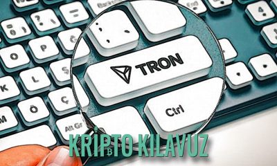 TRON'un BitTorrent Token'inden İnanılmaz Artış